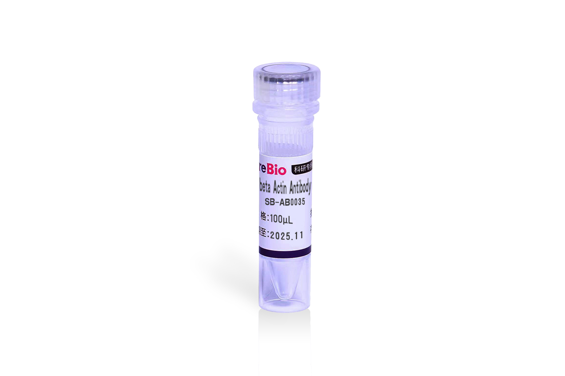 1 kb plus DNA Ladder（100bp-10kb） 1 kb plus double-stranded DNA  Ladder ;1 kb plus dsDNA Ladder