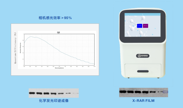 触屏款化学发光成像仪